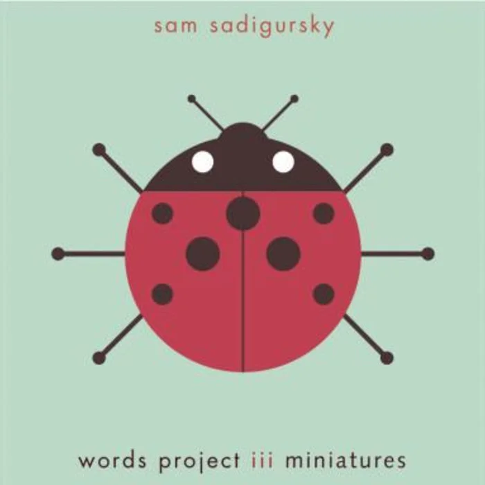Sam Sadigursky: WORDS PROJECT III (2010) performer, recording engineer, “ Light”