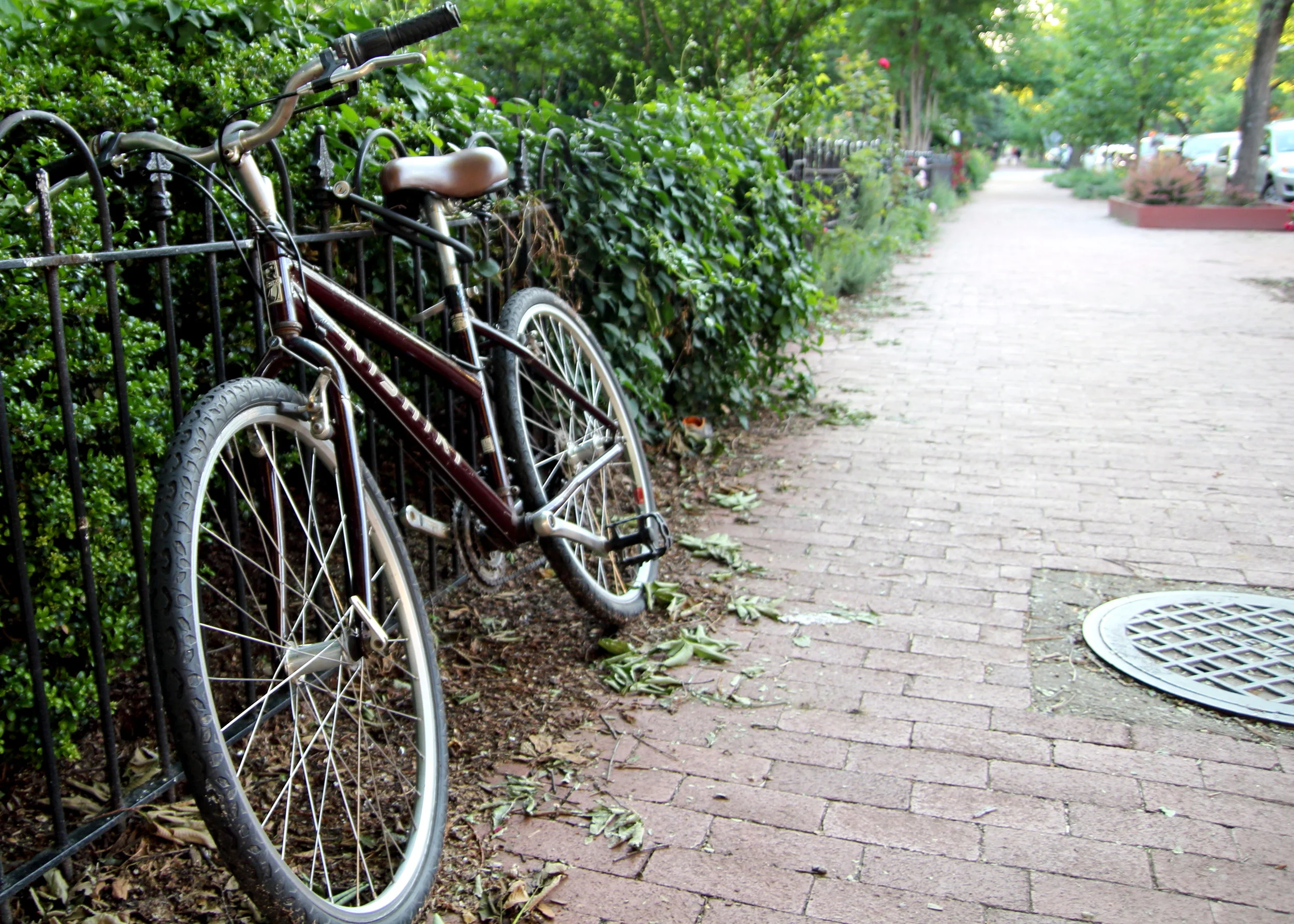 bike.JPG