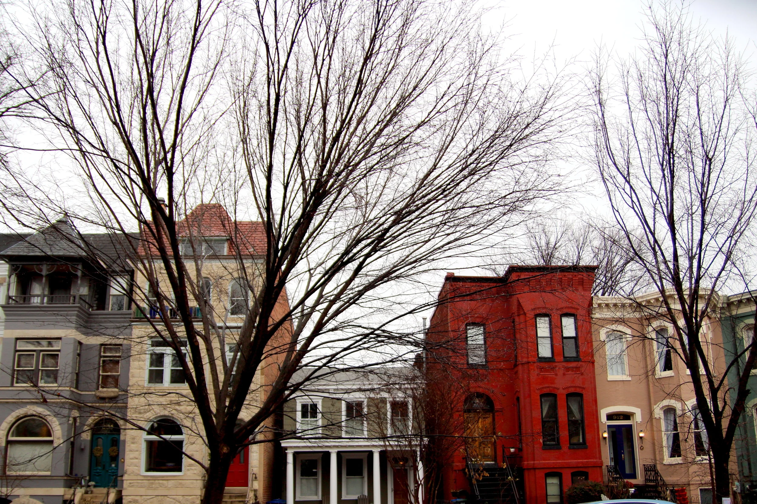 IMG_0999b.JPG