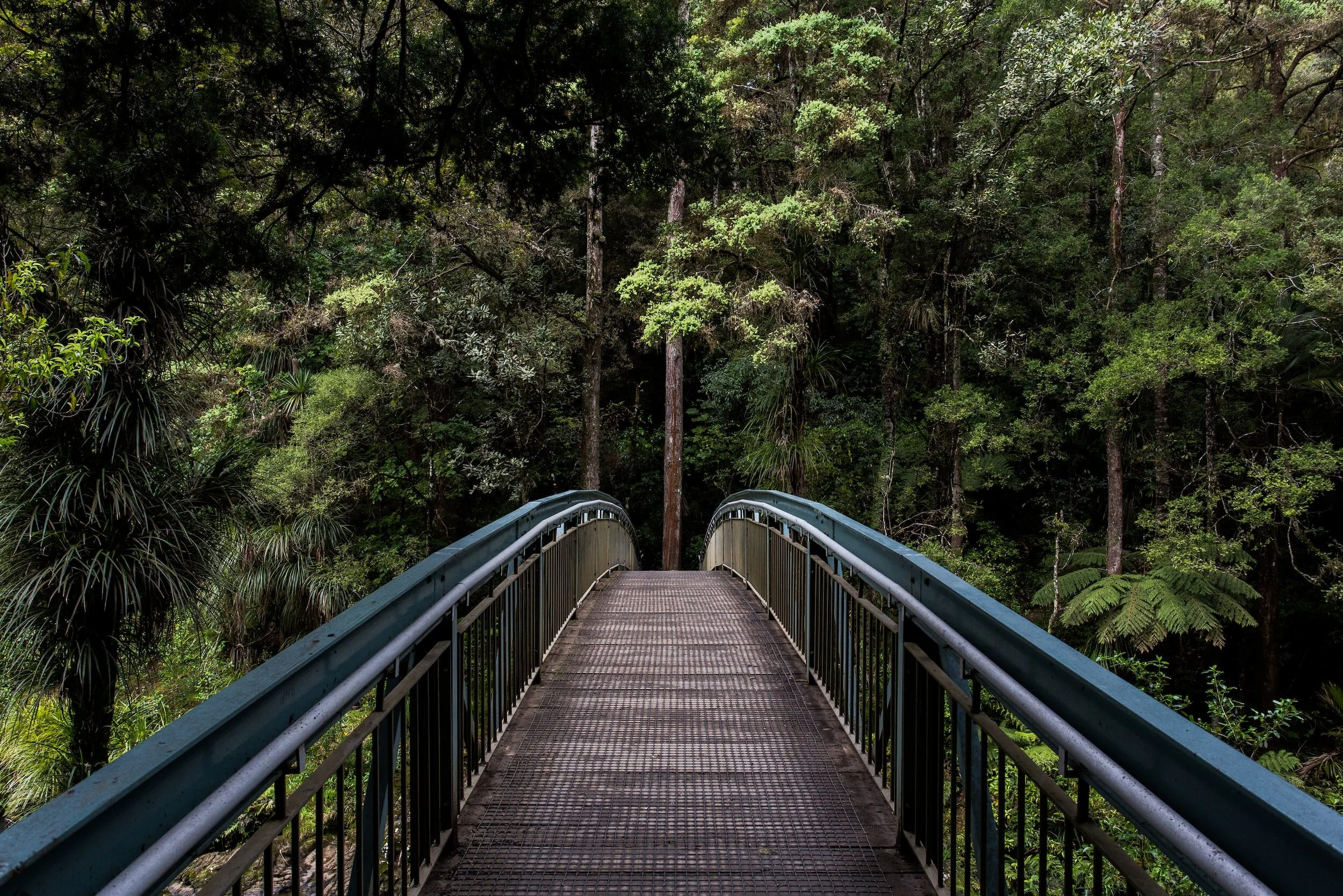 What Nature Can Do for Your Mental Health