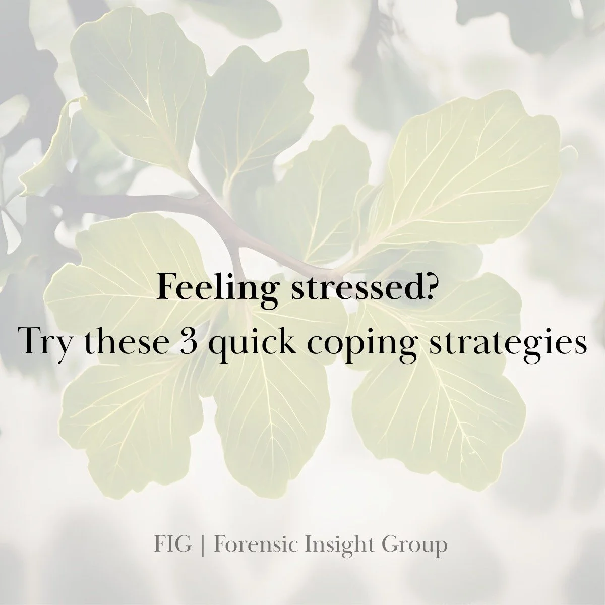 Stress affects everyone, but small strategies can make a big difference.

Tip #1: 🌬️ Take 5 deep breaths &mdash; things may come into focus after you pause to breathe.

Tip #2: ✅ Complete one small task &mdash; small achievements can boost your mood