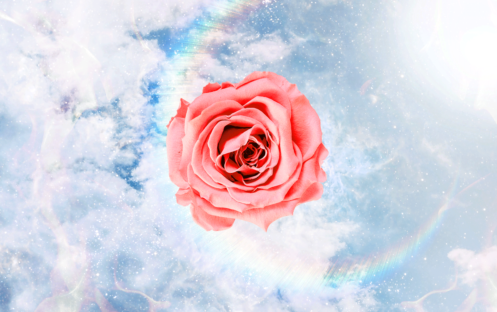 banner-plain.png
