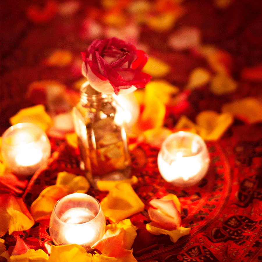 rose-ceremony.png