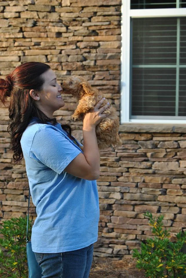 toy-goldendoodle-kisses.jpg