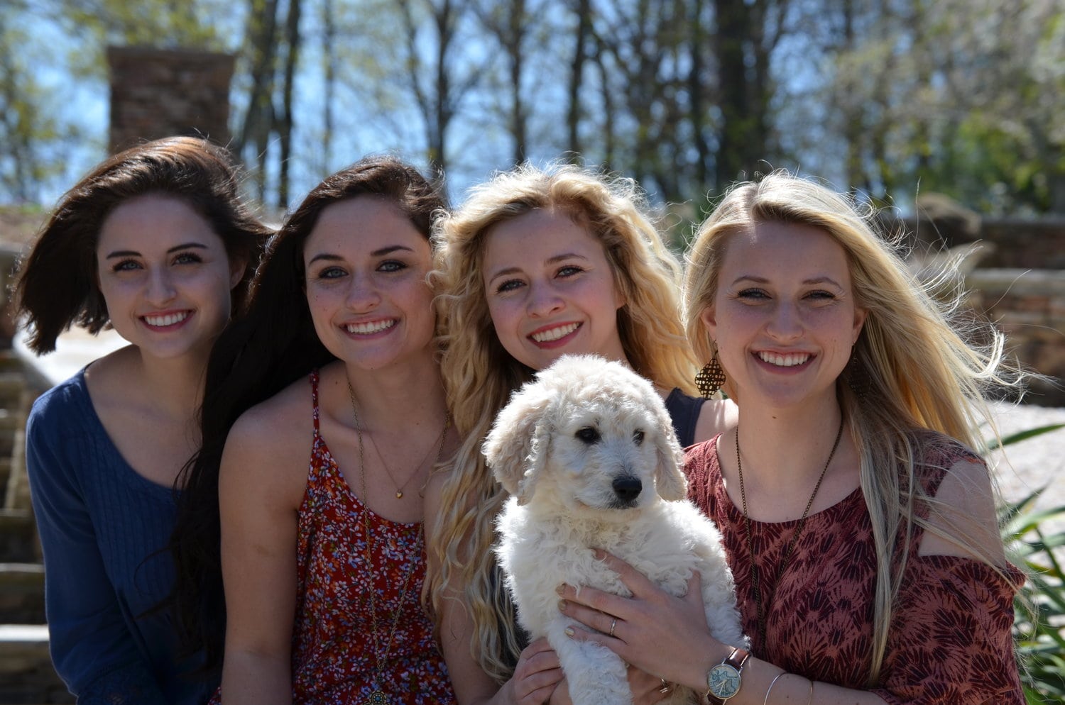 Family raised puppy