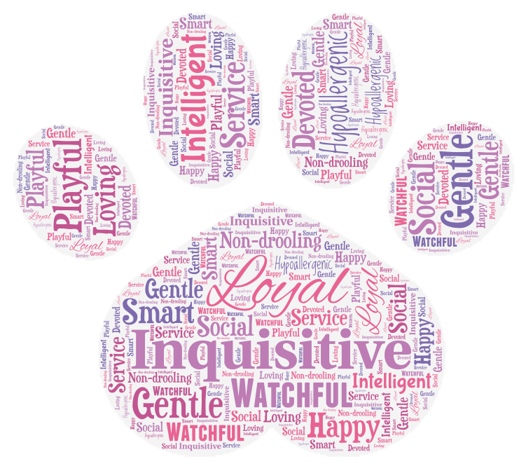sheepadoodles-word-art-min.png