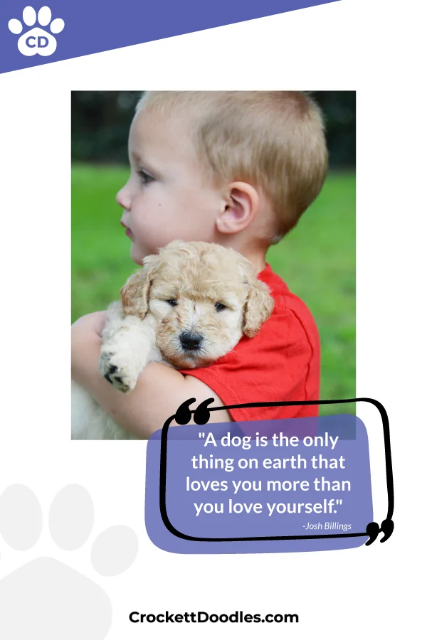 a-dog-is-the-only-thing-on-earth-that-loves-you.jpg