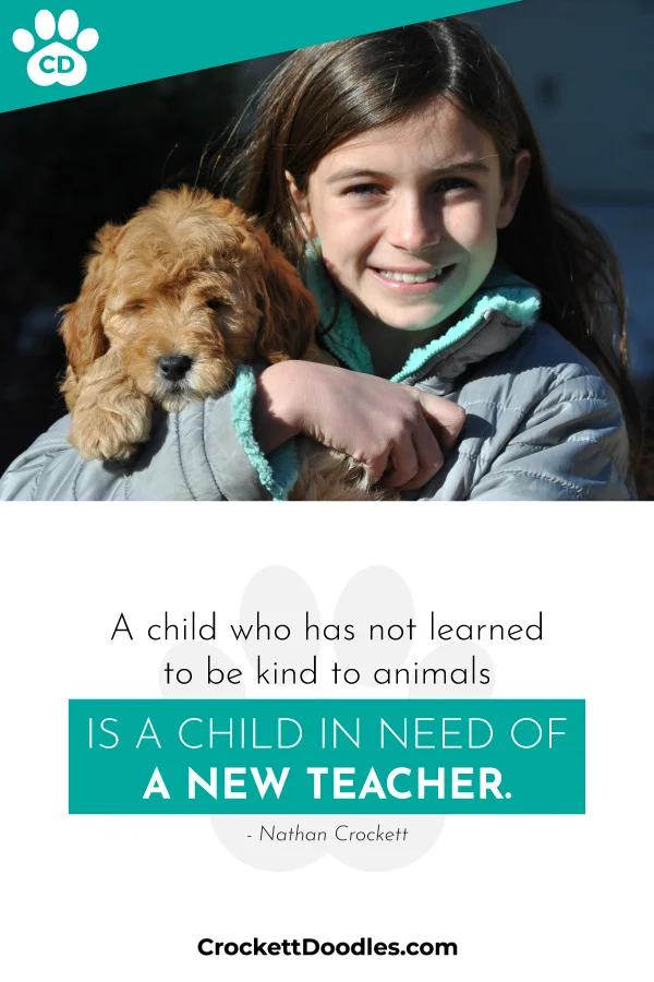 358825_ChildWhoHasNotLearned_1_021219.jpg
