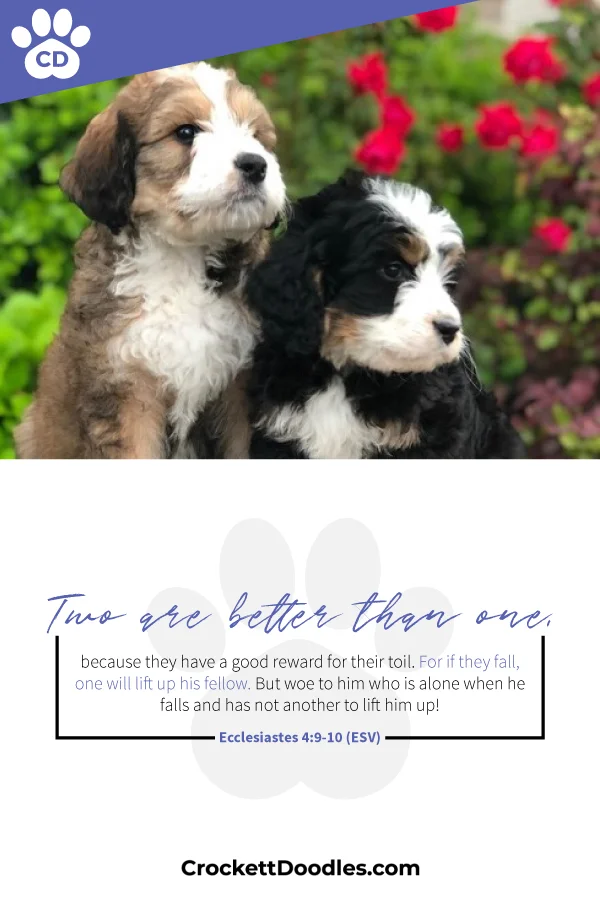 358435_2areBetterThan1_1_020519.jpg