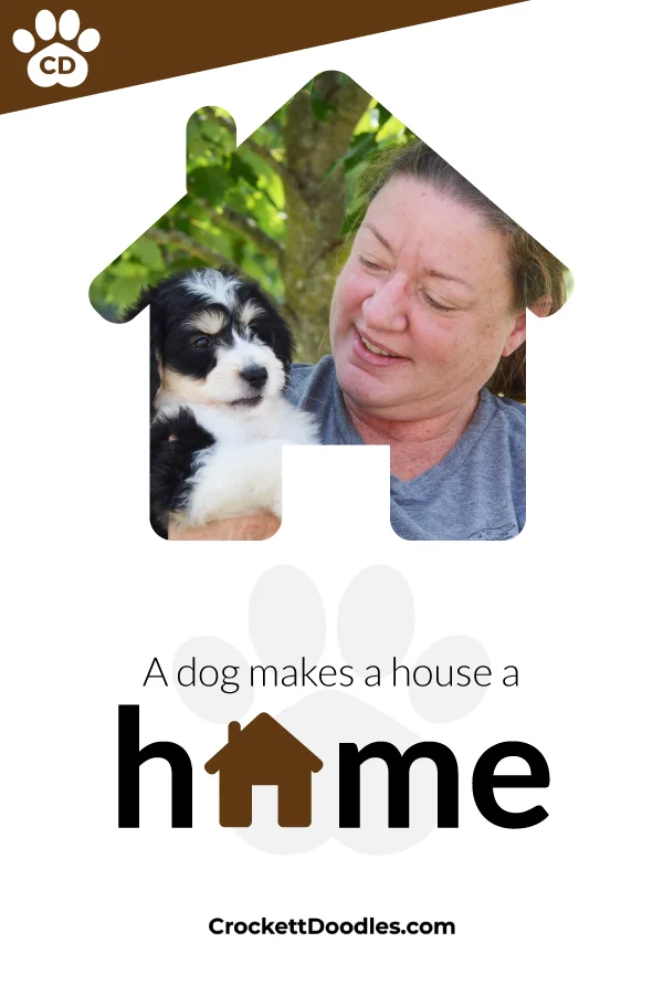 354313_DogHouseHome_2_012519.jpg
