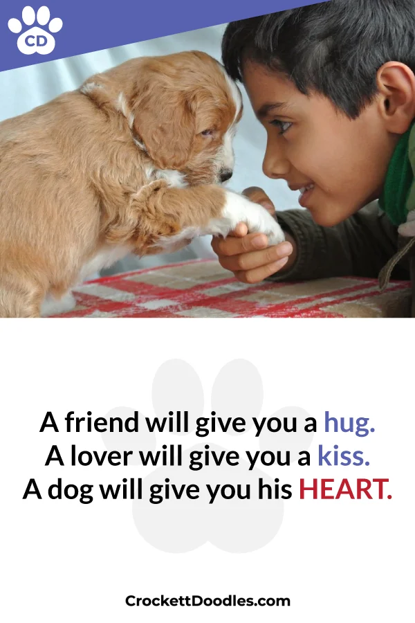 354292_ADogWillGiveYouHisHeart_1_012119.jpg