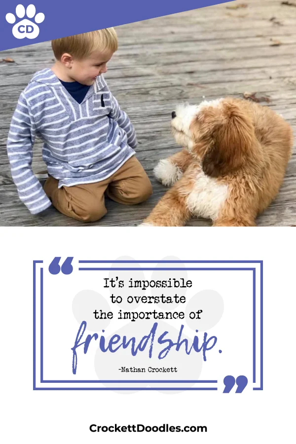 354326_ImportanceOfFriendship_1_013119.jpg