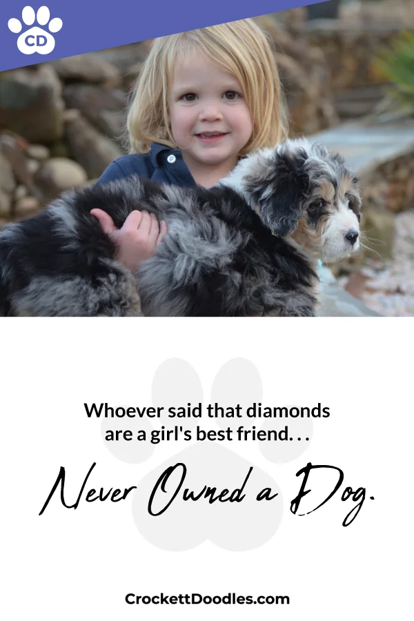 354273_NeverOwnedADog_1_011719.jpg