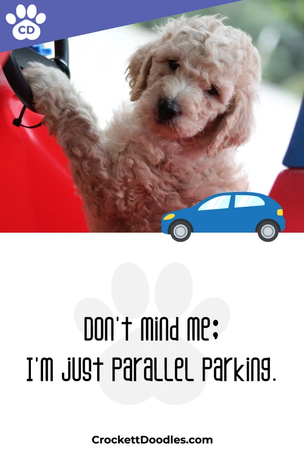 354304_ParallelParking_1_012419.jpg