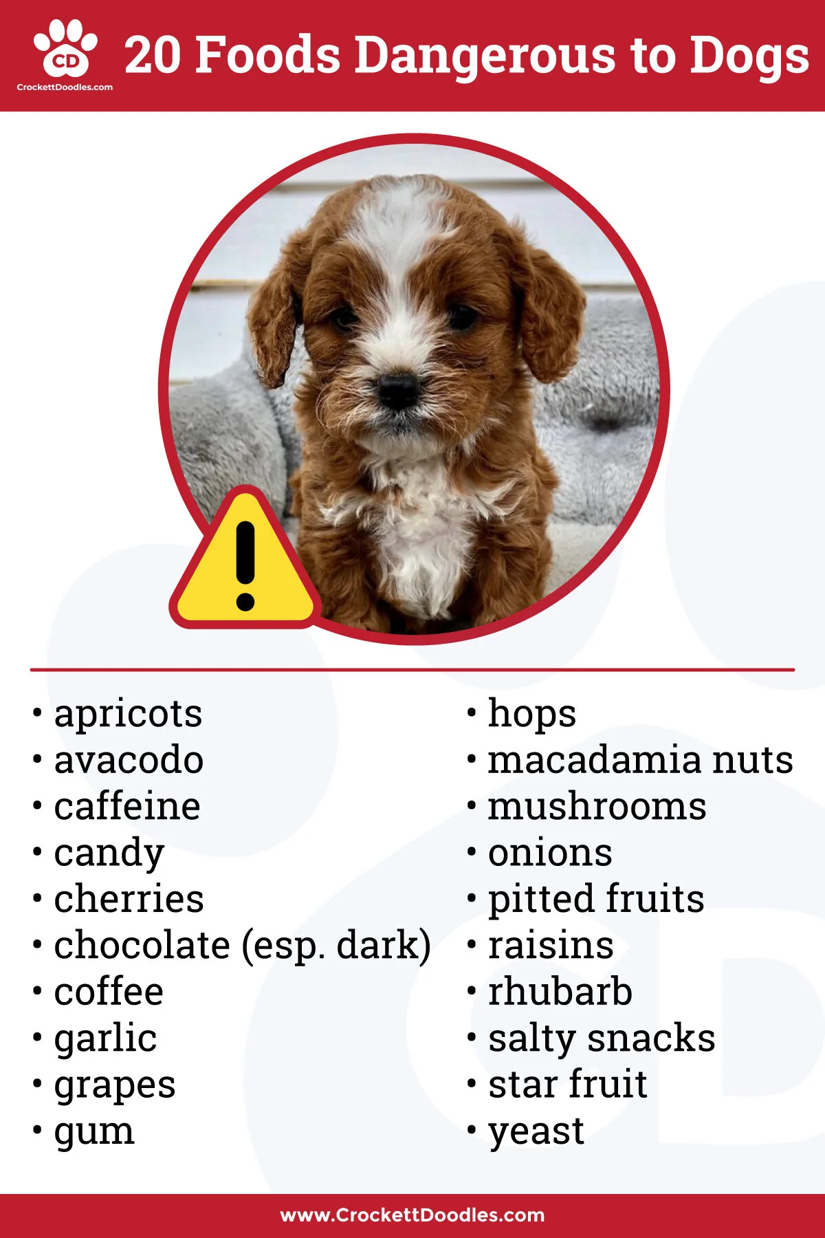 is rhubarb dangerous for dogs