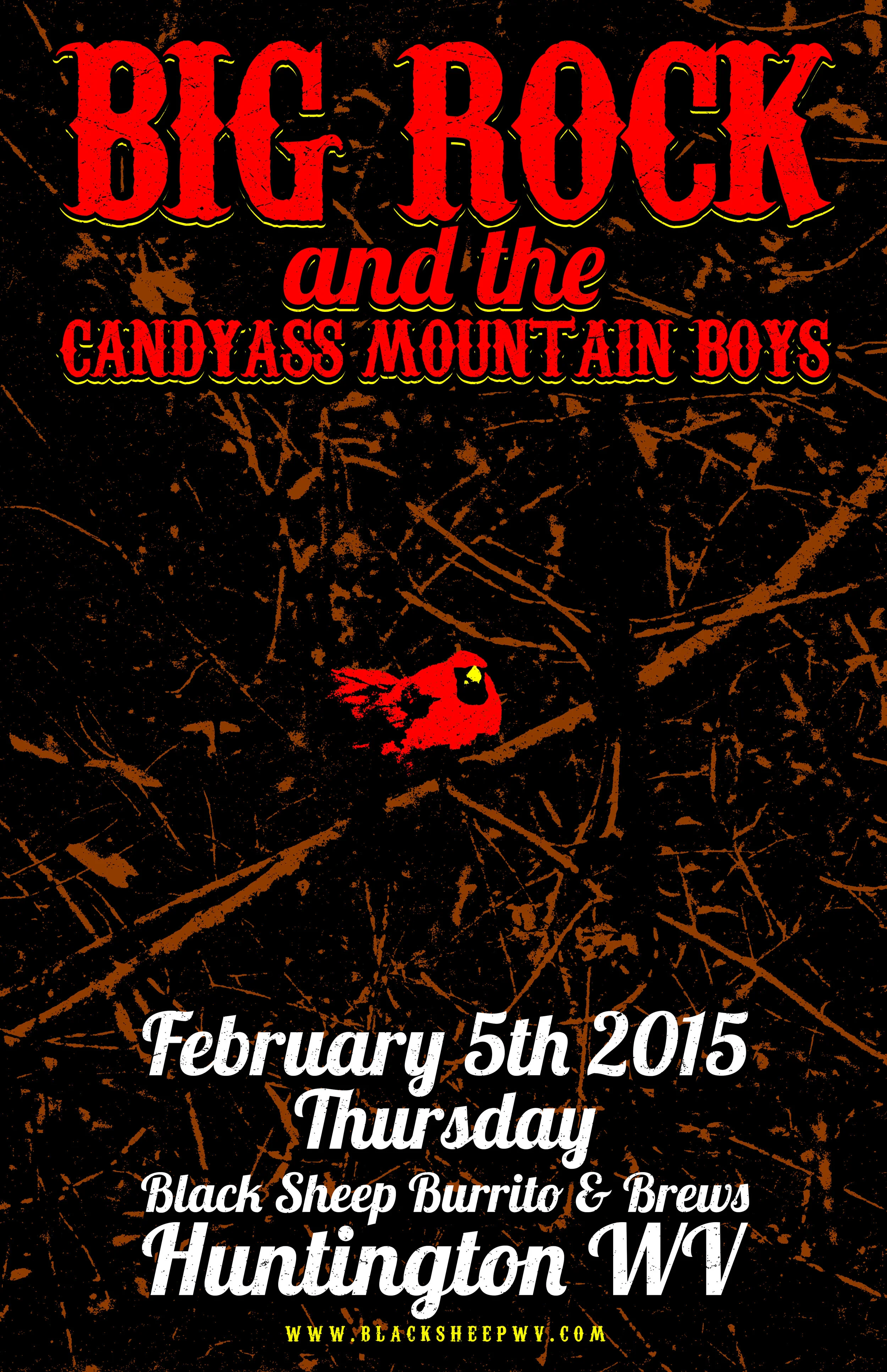 BRATCAMB Feb 2015.jpg