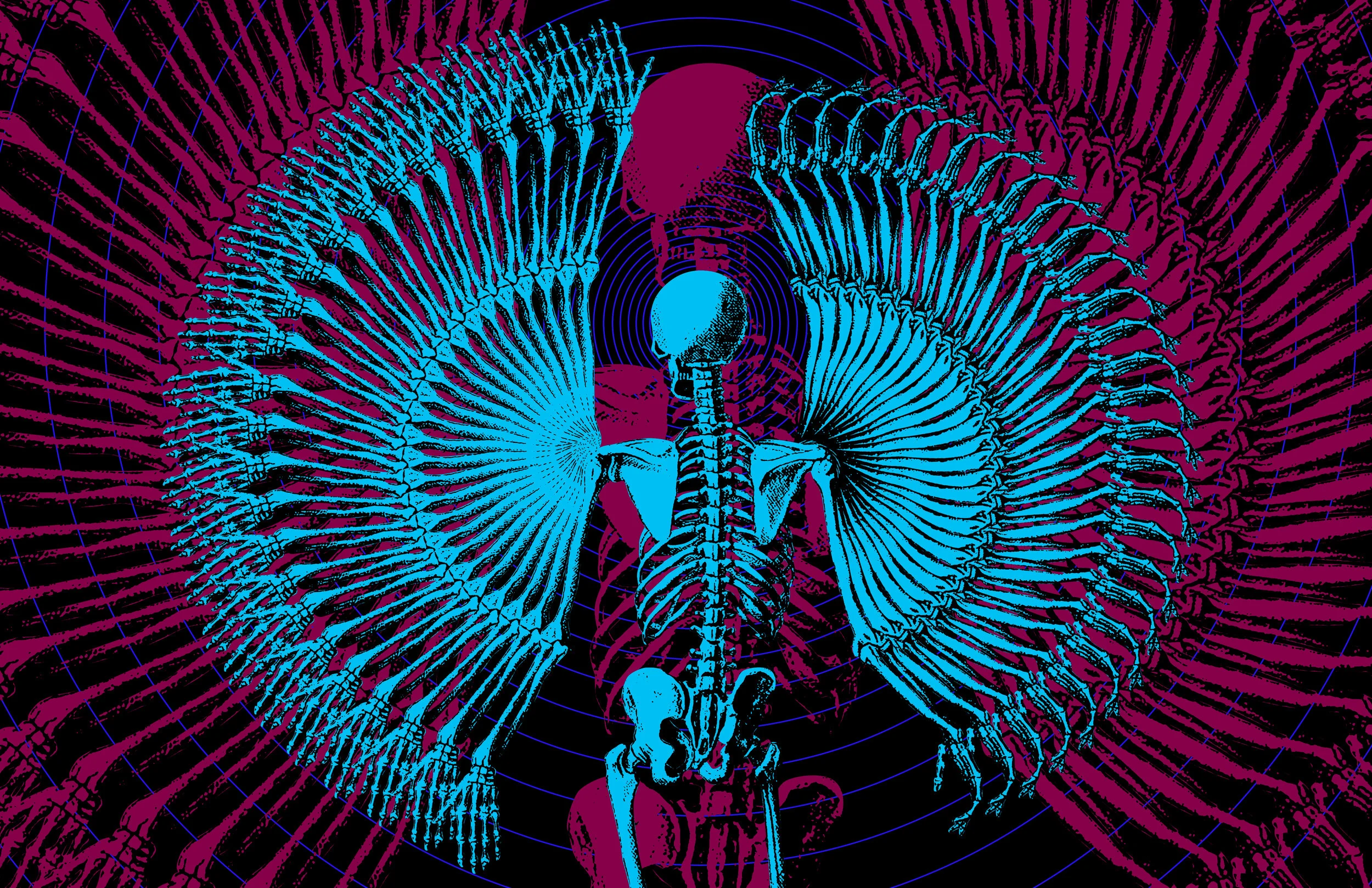 Skeleton Repeater.jpg