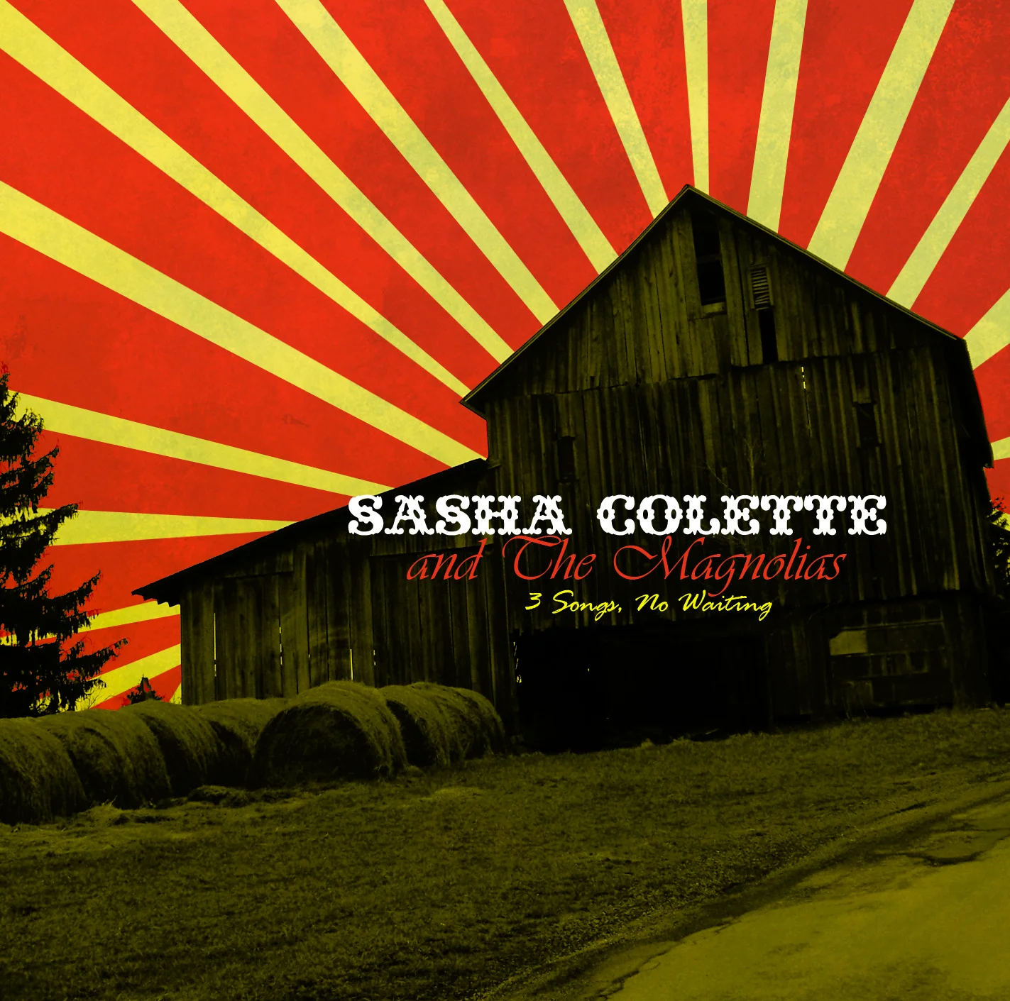 Sasha Colette front cover.jpg