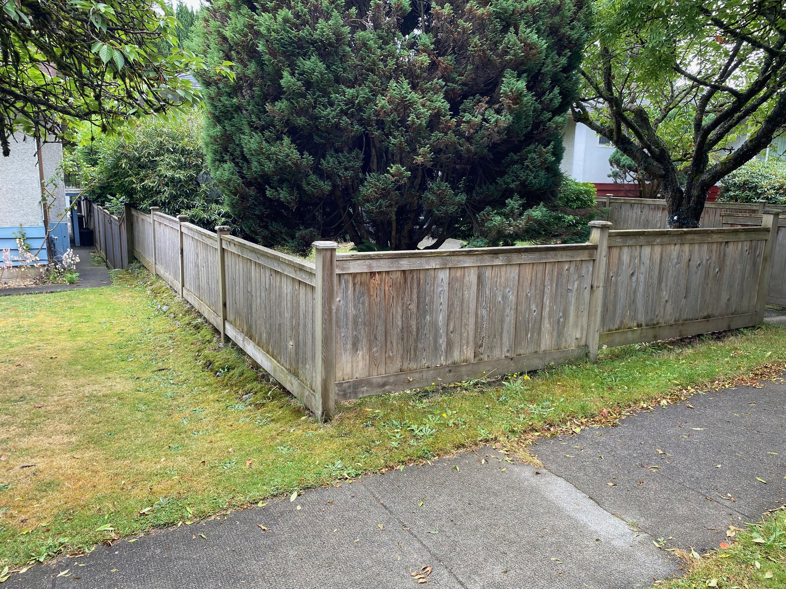 Before image of cedar fence
