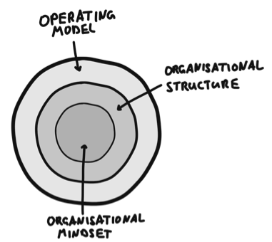 Figure 1. Organisational mindset, structure and operating model