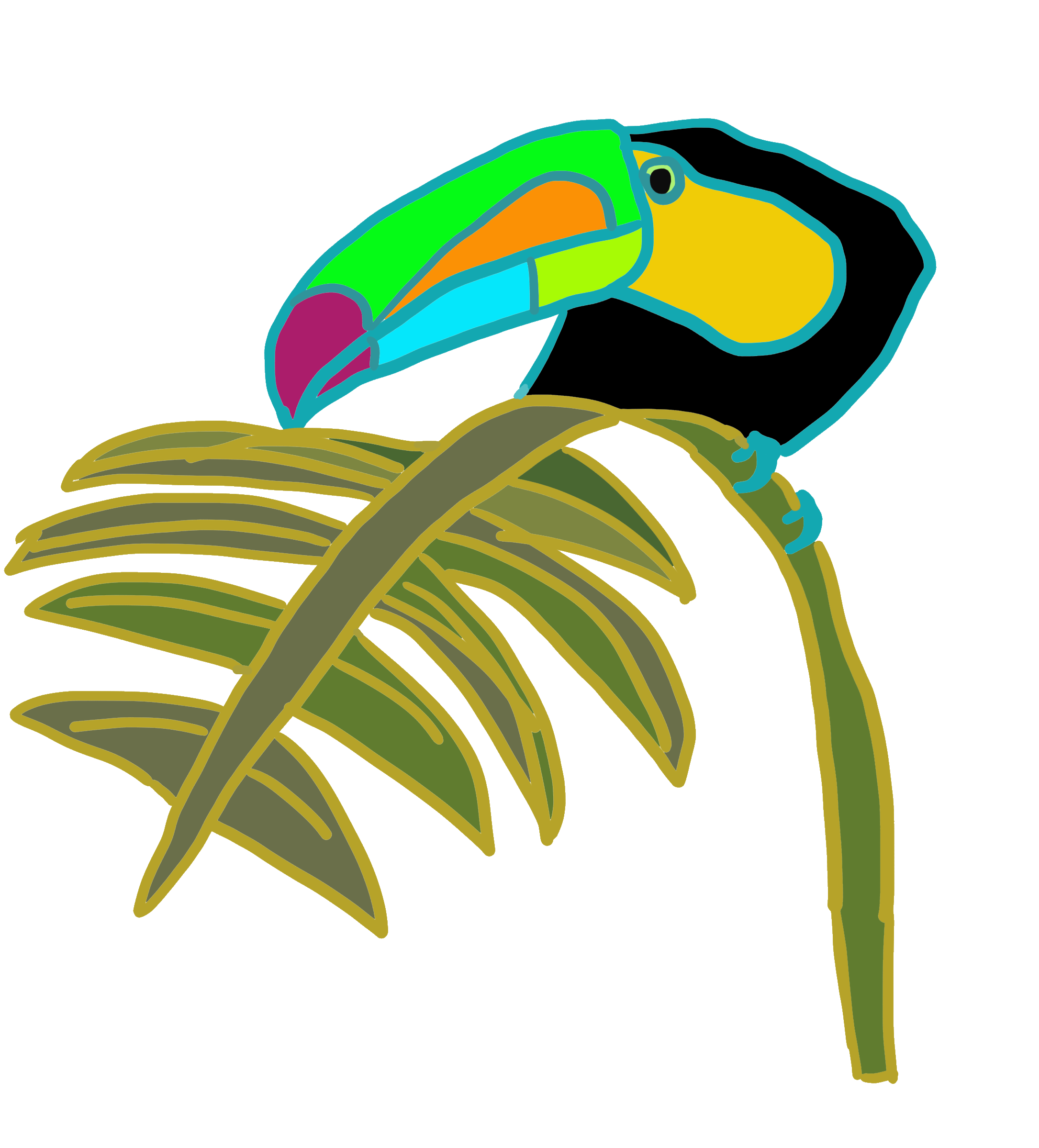 toucanpalm.gif