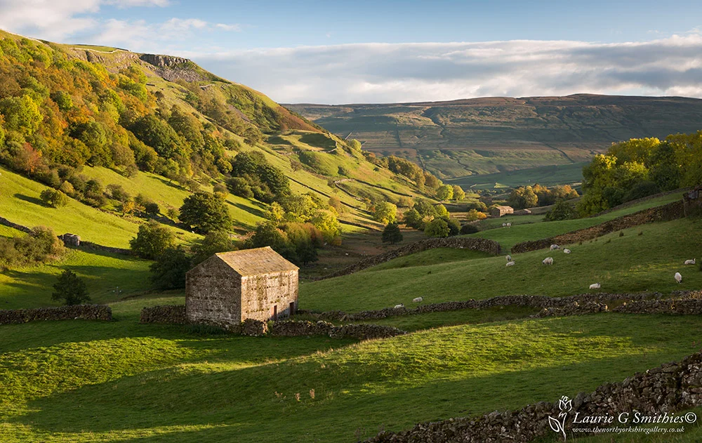 Swaledale Festival