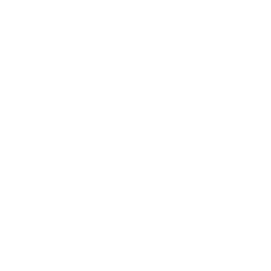 logo-250x250.png