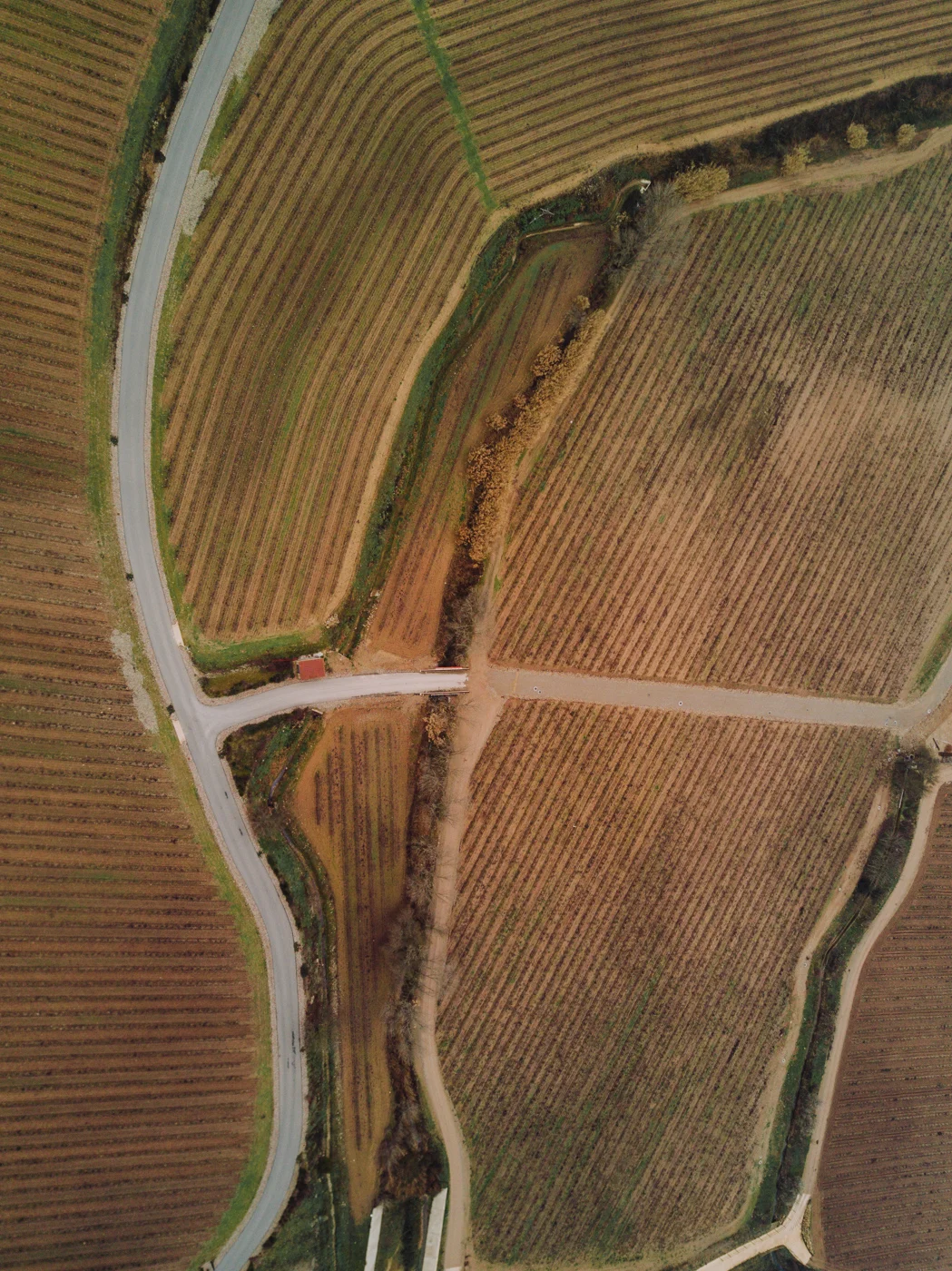 Drone-Sojourn-5.jpg