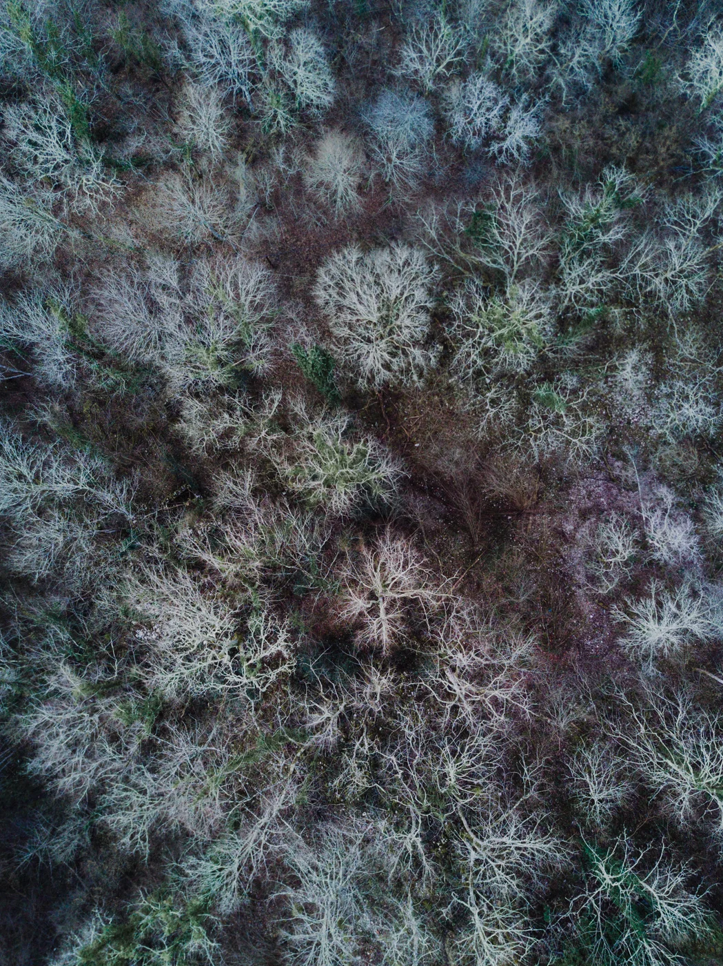 Drone-Sojourn-9.jpg