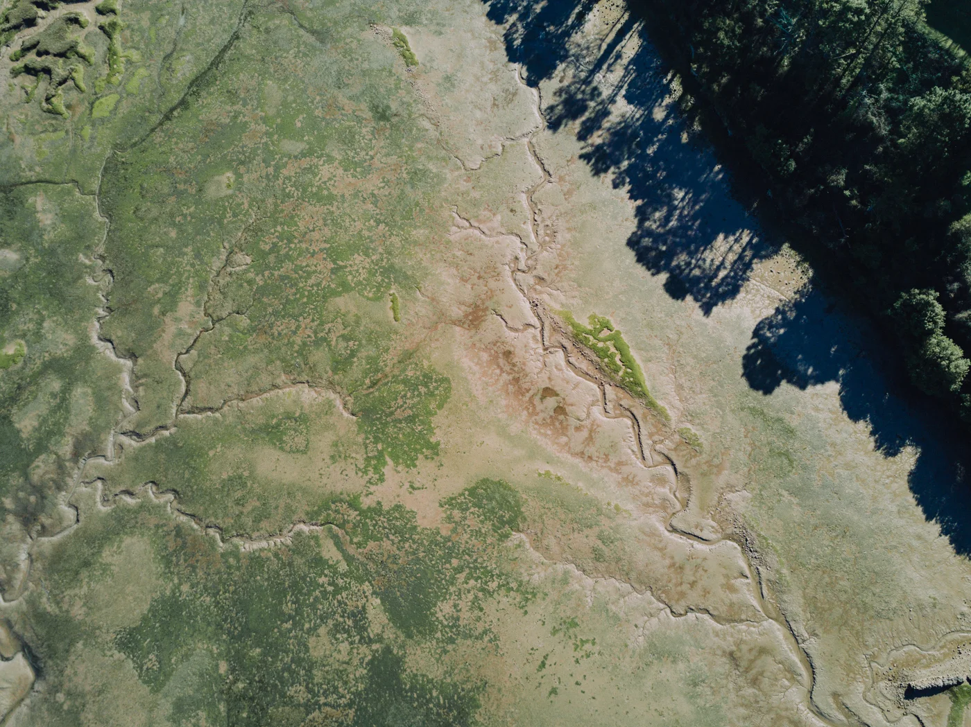 Drone-Sojourn-20.jpg