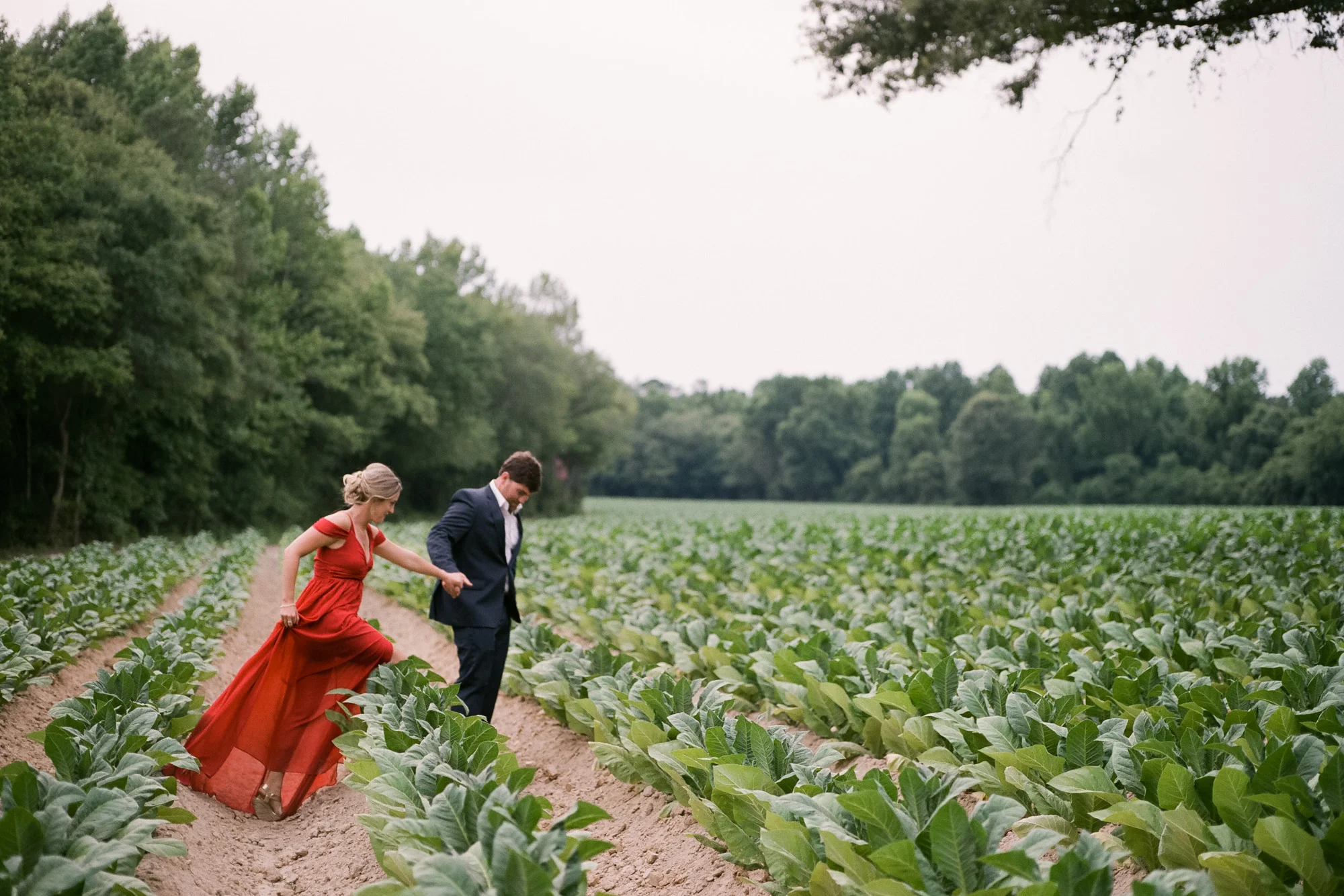 tobacco-farm-photography.jpg