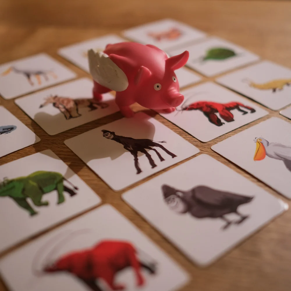 Pigasus game components