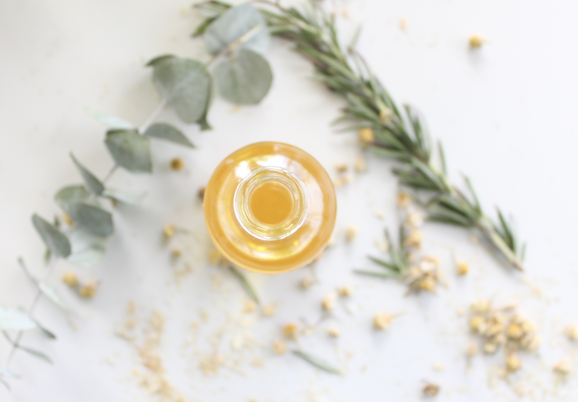 botanical body oil watermelon seed oil