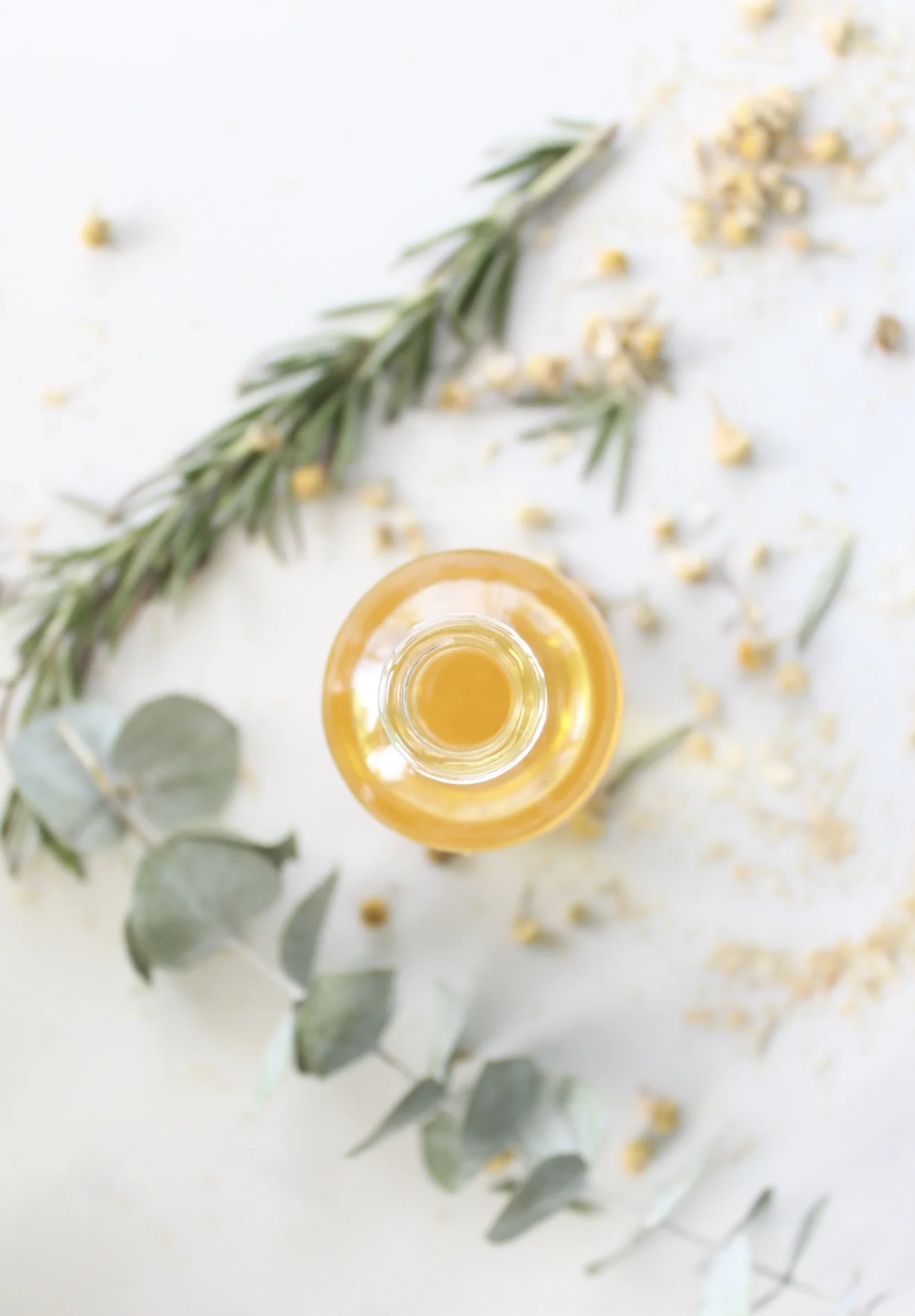 Copy of botanical body oil watermelon seed oil