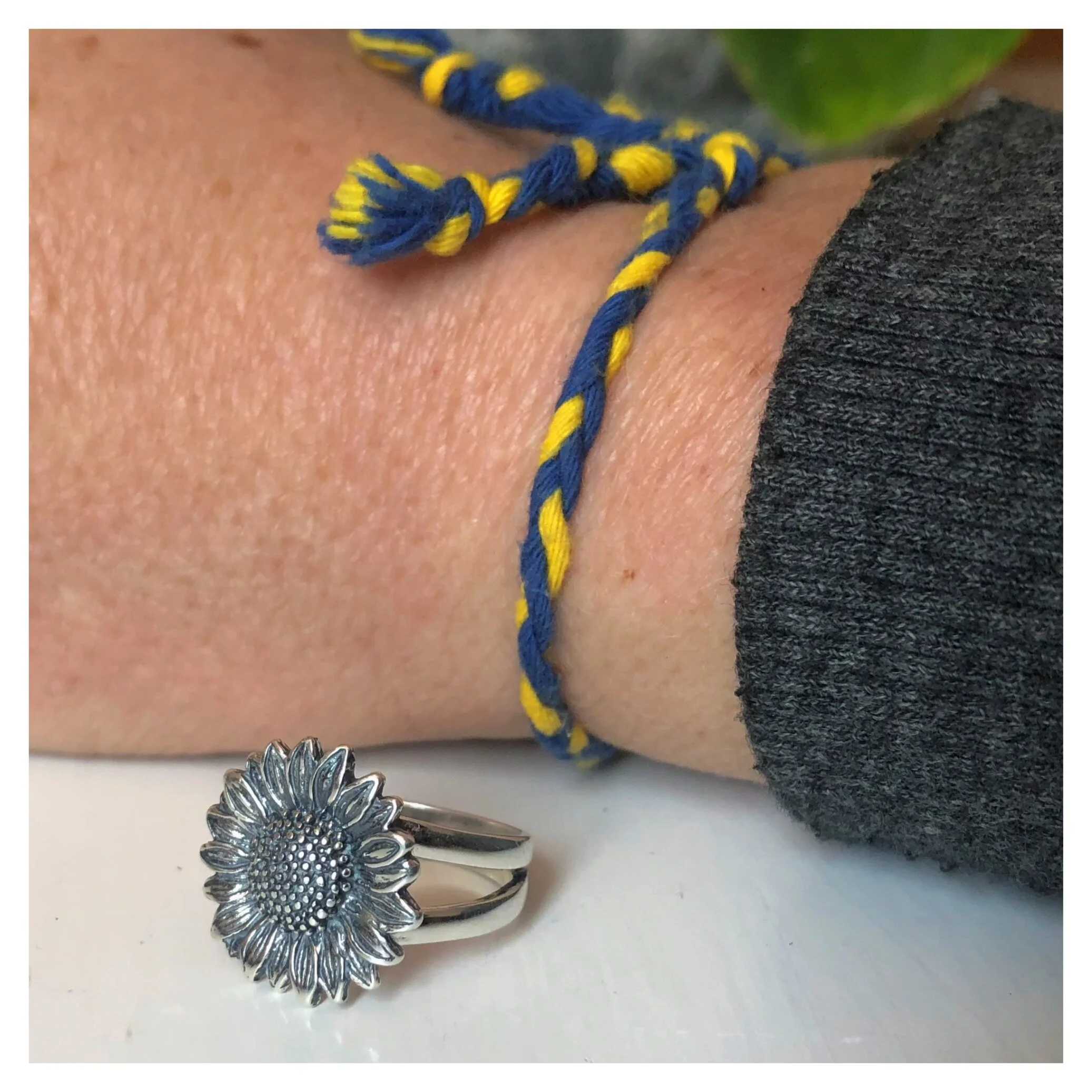 086646C7-8A78-401B-87DD-1CD8DF07915A