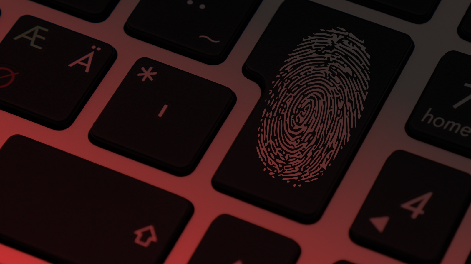 A Conceptual Framework for Biometric Identity on the Blockchain