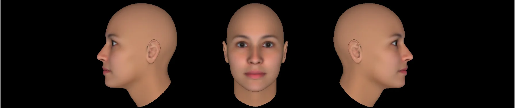 facestmuli.jpg