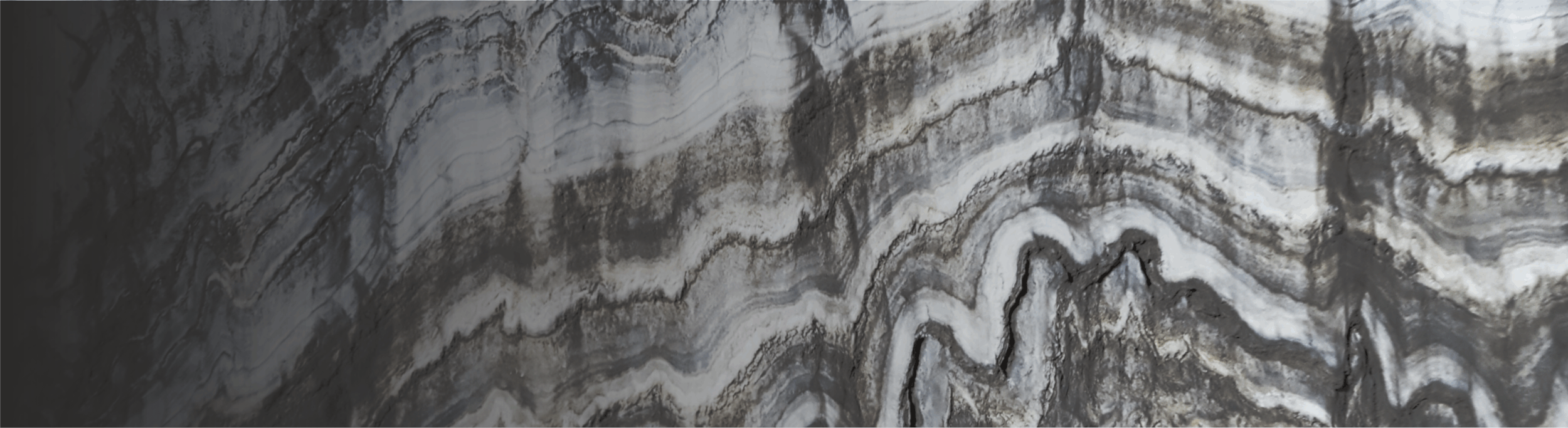 banner_06.gif