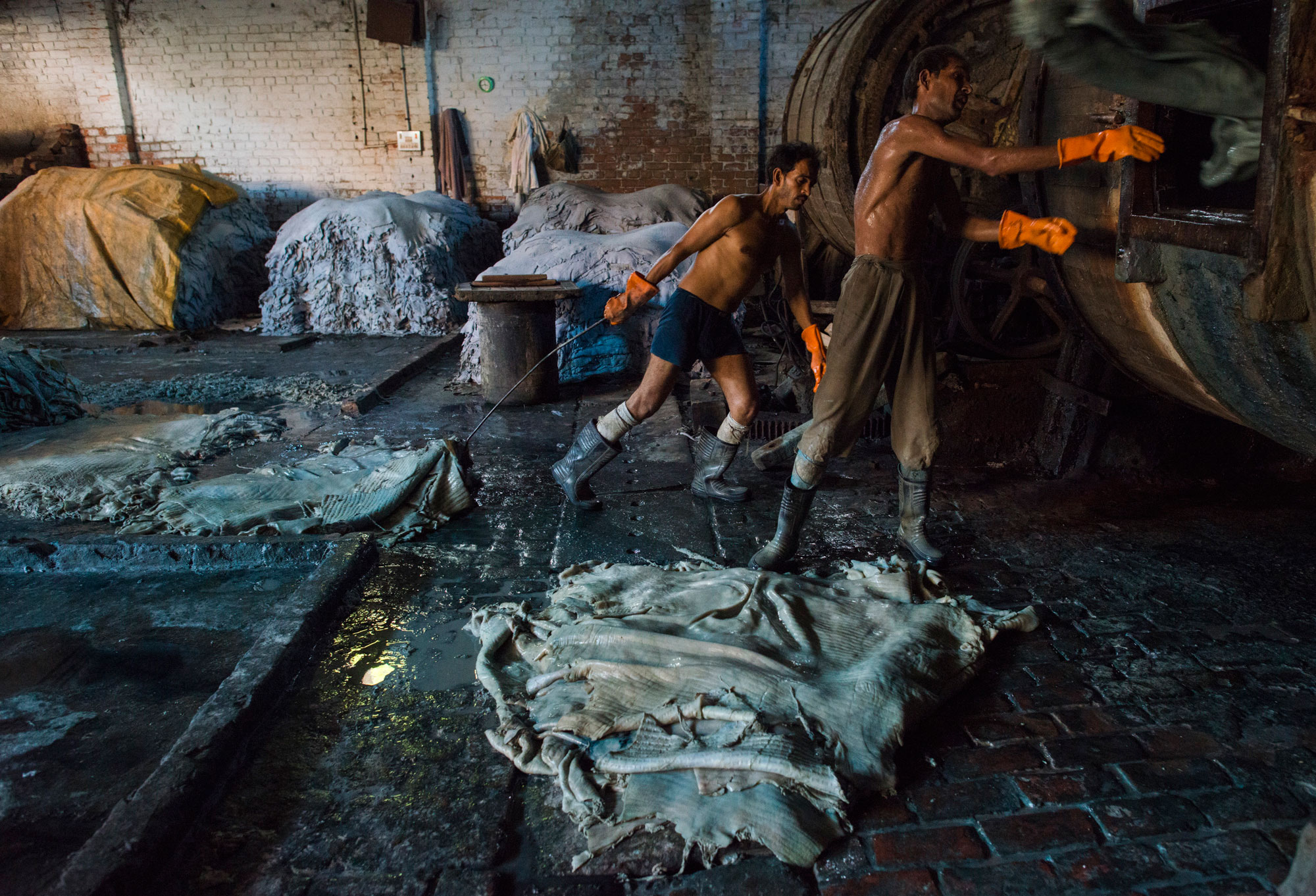 Leather tanning workers handling Chromium-tanned pelts