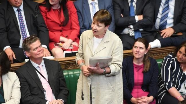 put-animal-sentience-law-into-brexit-legislation-green-mp-tells-ministers-136424376026503901-180116165035.jpg