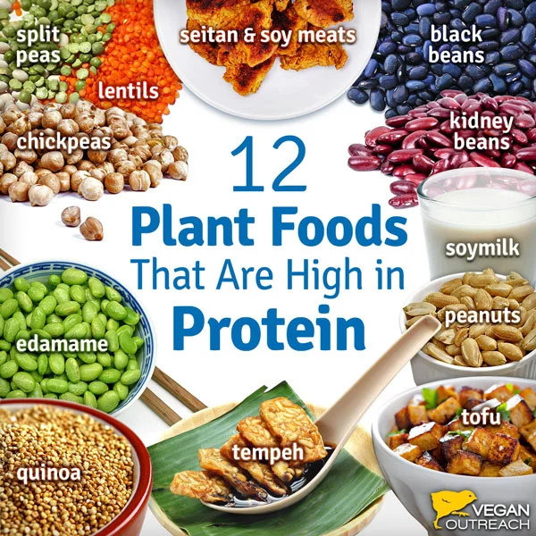 Get ready for the “where do you get your protein” questions…