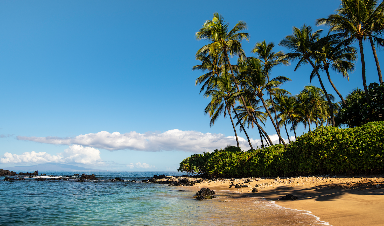 HAWAII PERFECTION