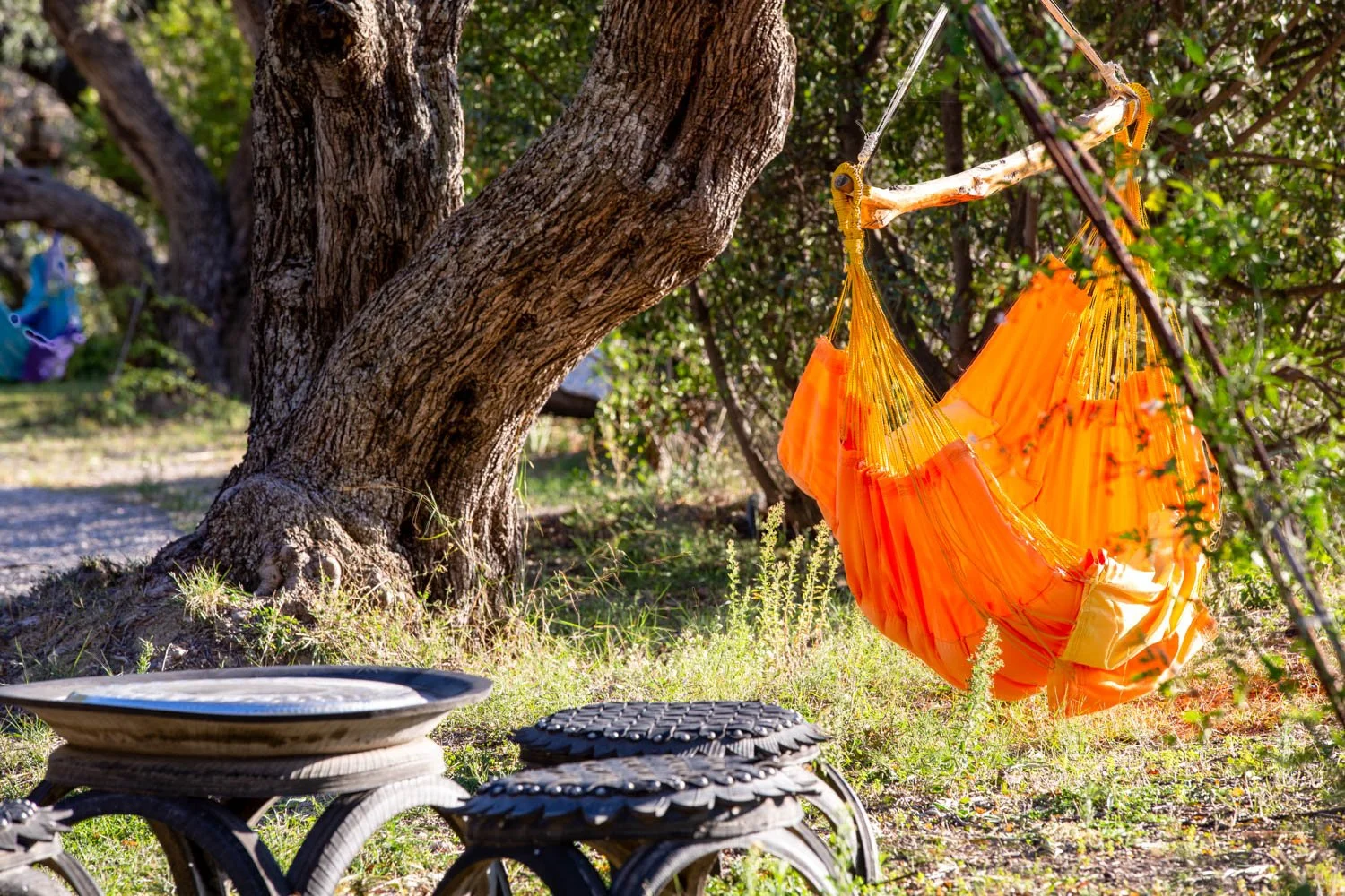orange hammock.jpg