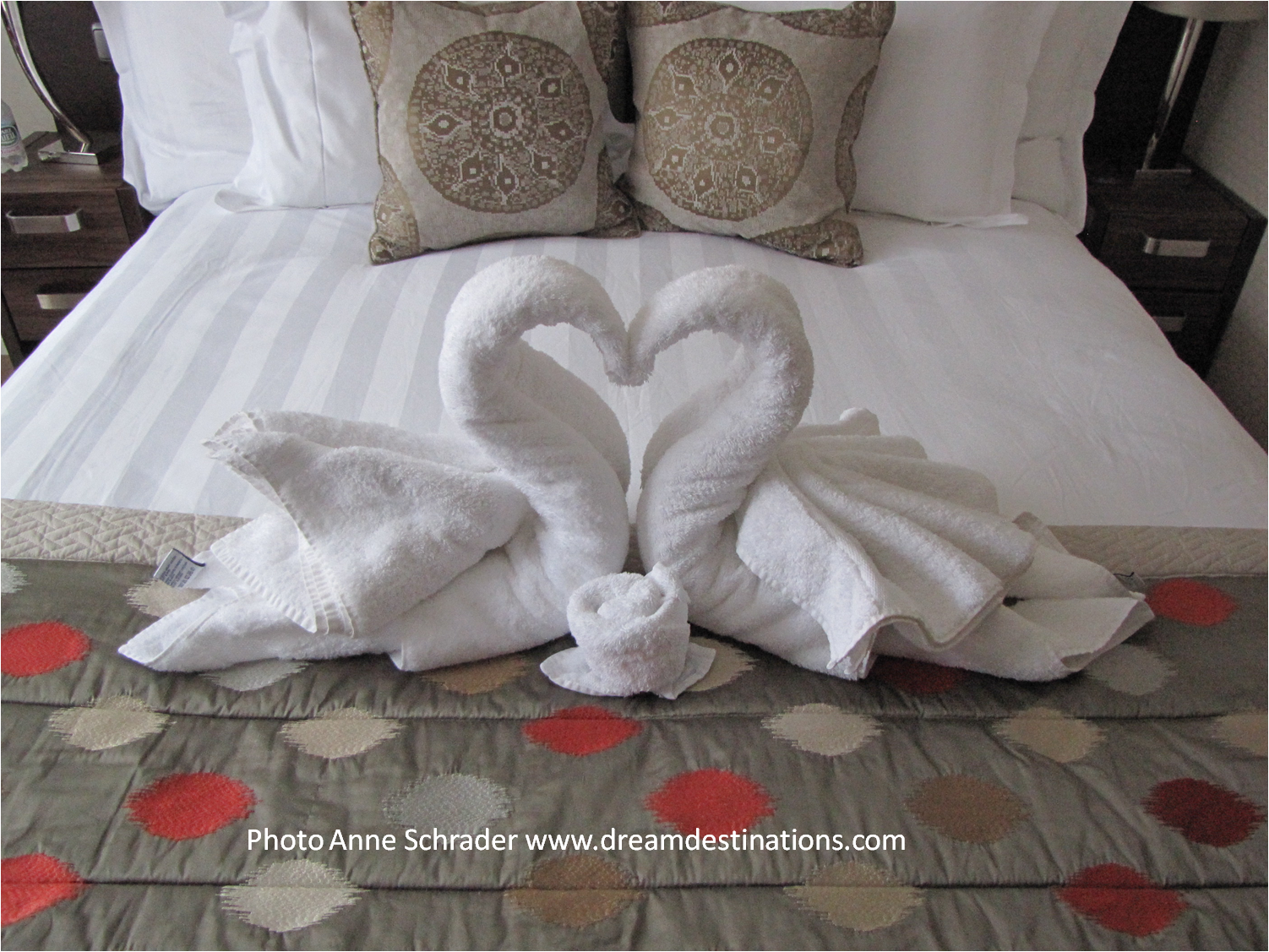 Our AmaWaterways Cabin with Swans—looks like a millionaire luxury cruise to me!