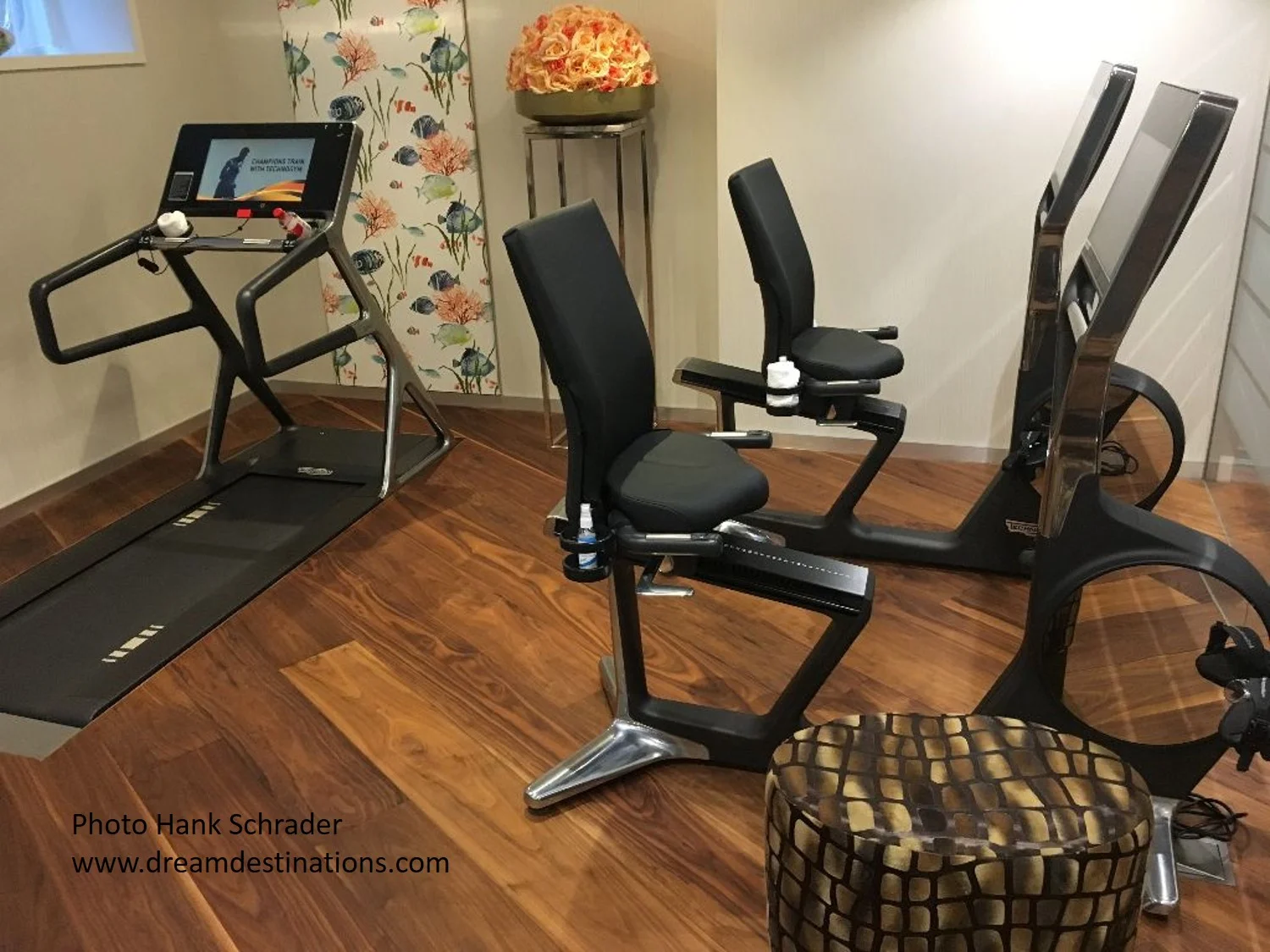 Exercise Area