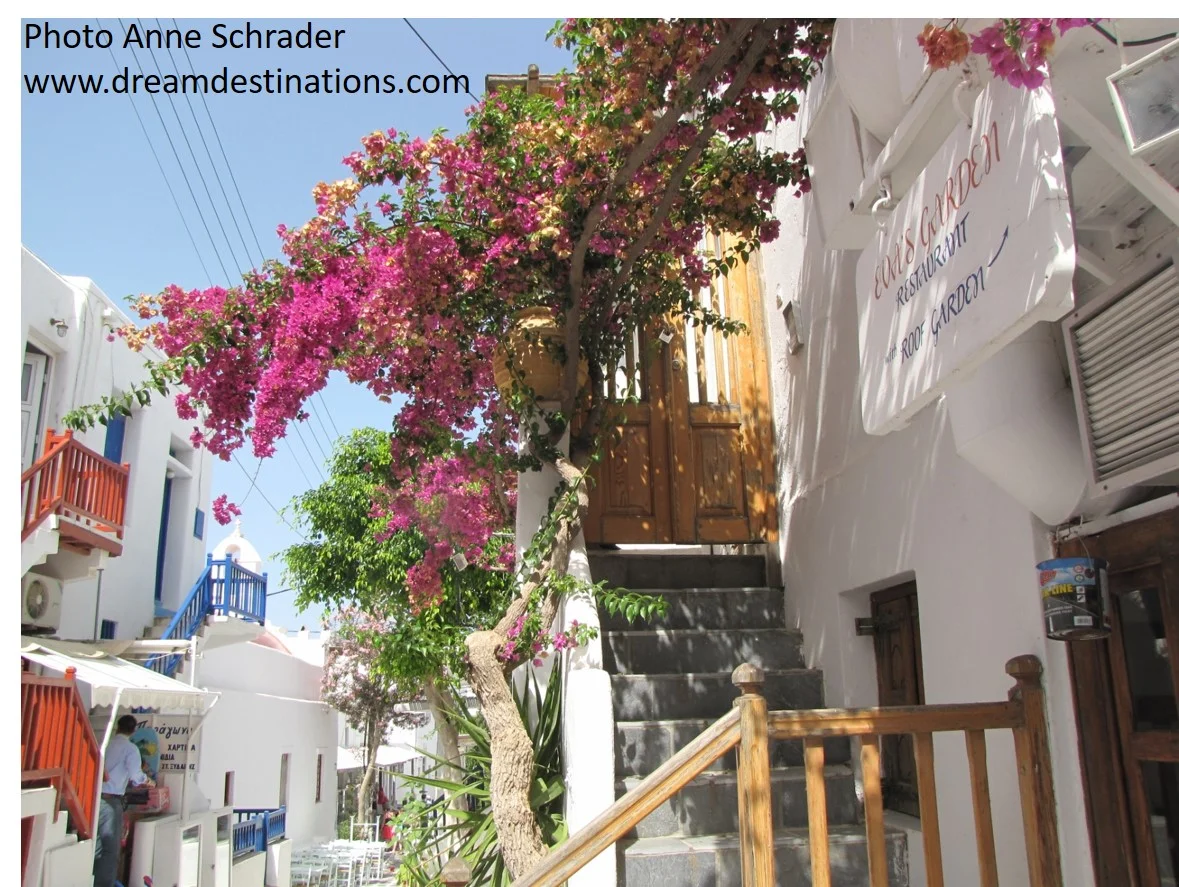 White Buildings with dramatic splashes of color in Mykonos.