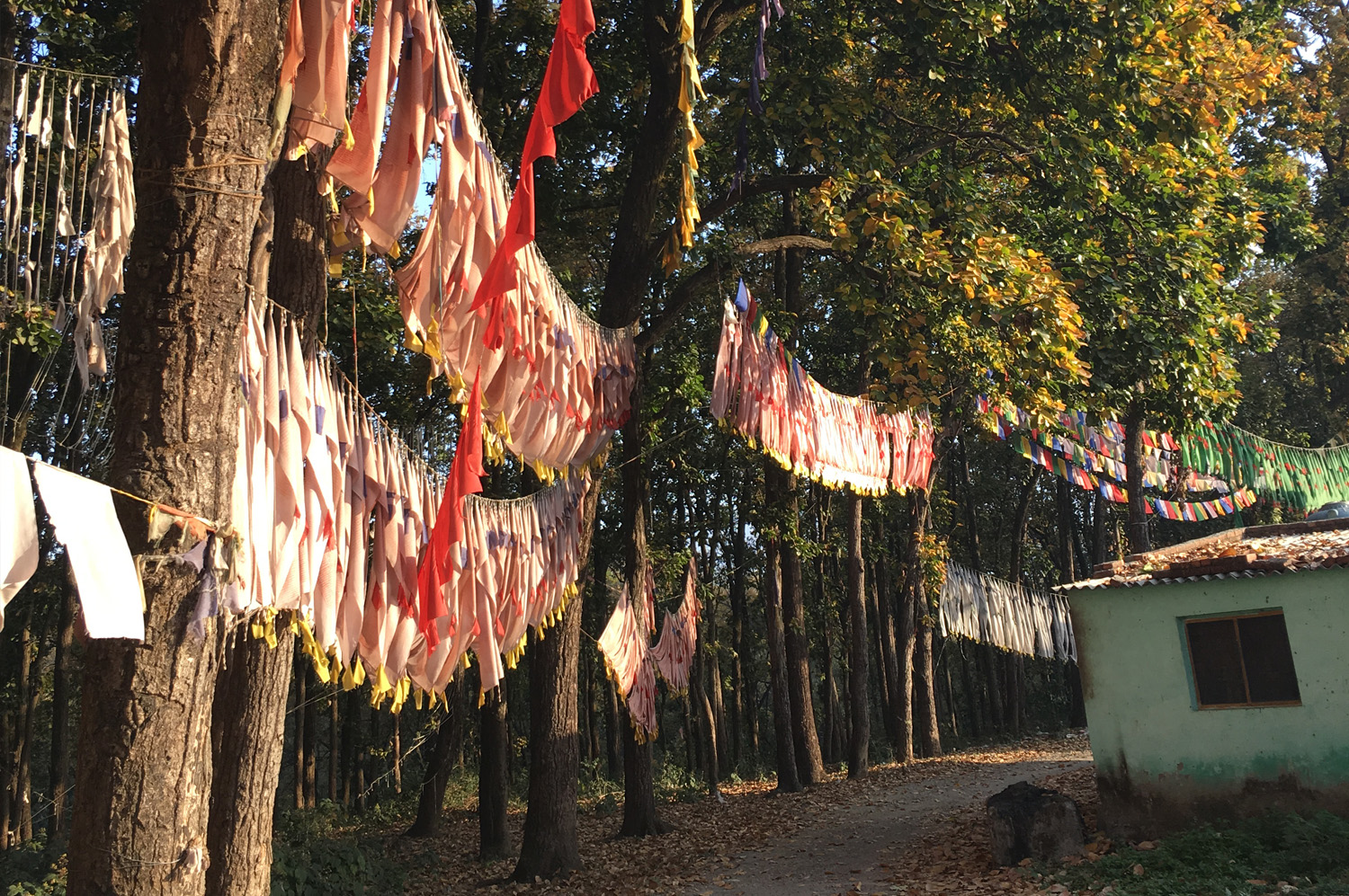 Tibetan Prayer Flags Encircling The Village
