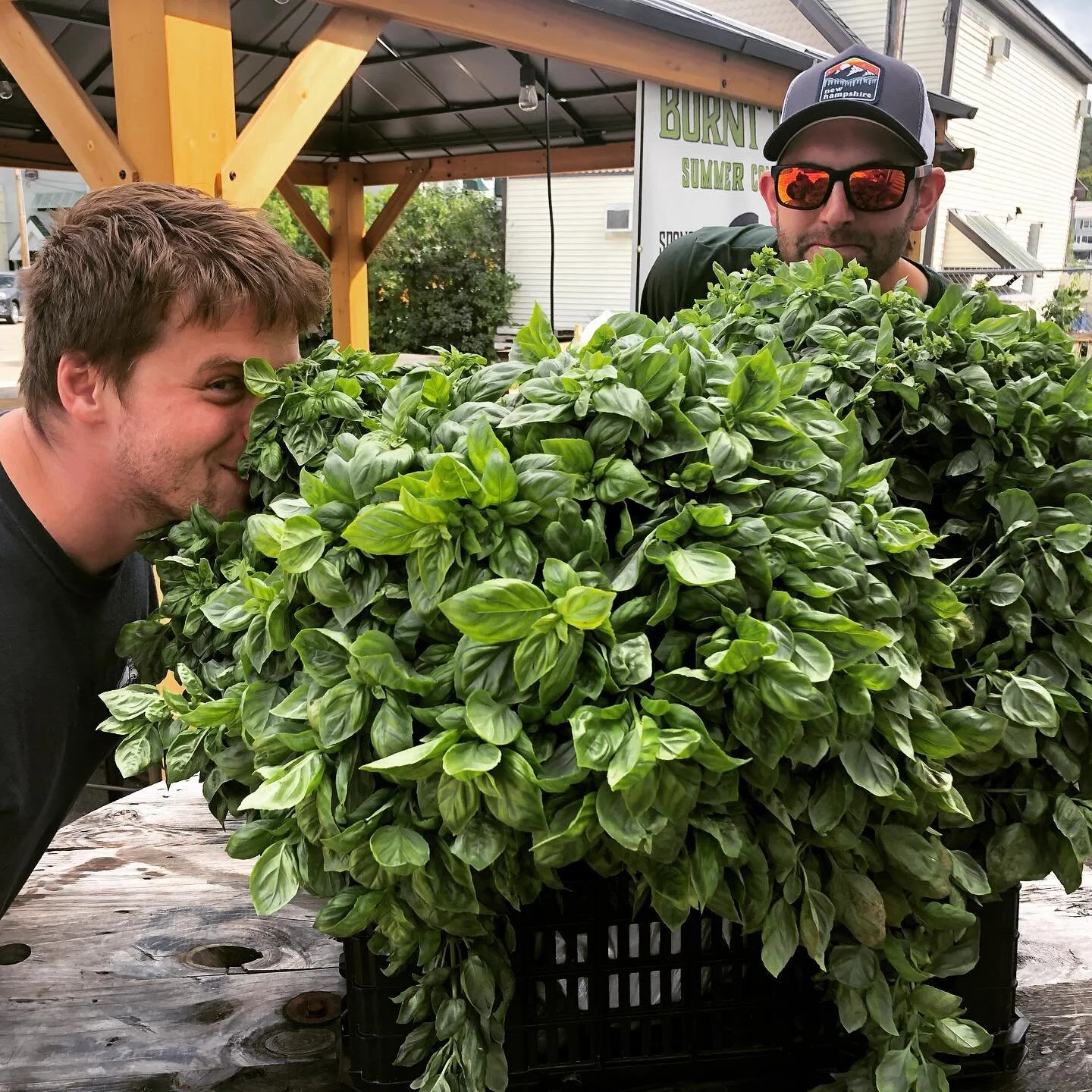 Burnt Timber Releases Thai One On Cider