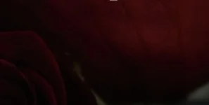 The Love and Intimacy Workshop