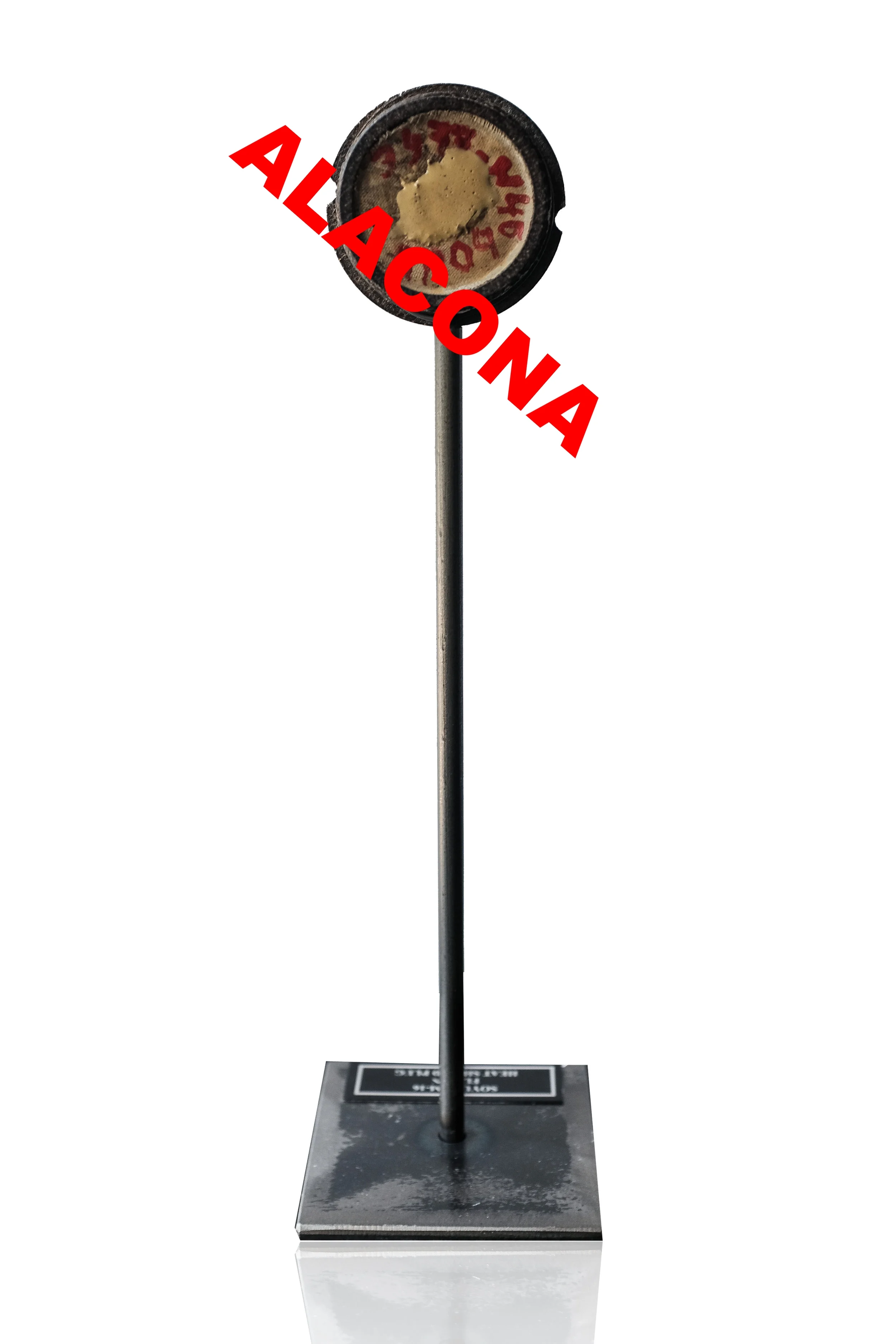 TM164.jpg